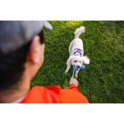 Ruffwear Gourdo™ Spielzeug S Grün -Hundebedarfsgeschäft 340d5a3cda4bb7c7215d03f2d69aea1fb532027d 1639795 de DE dcb292407c796db89093f35e704145b6700aa2deFjWC0G