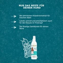 MediDog Dental Fresh & Clean -Hundebedarfsgeschäft 343cceef613c074ed5b447a70d31269a870cf15d 1499660 de DE f2641cc7f5b00beb77fbbf61330ce24716292663yYZq7c