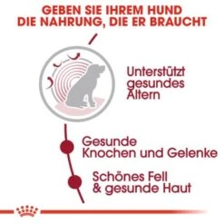 ROYAL CANIN Medium Ageing 10+ 15 Kg -Hundebedarfsgeschäft 35439b8991bb238cb34fa70ccac51c3234fae357 36aa1650a1aa302f839e41250cfe840f4a638243