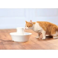 PetSafe Drinkwell Keramik Trinkbrunnen Avalon 2 Liter 5 PetSafe Drinkwell Keramik Trinkbrunnen Avalon 2 Liter -Hundebedarfsgeschäft 3618eec03b36d11fdf7febc663118c99bc340b4b f5e5469eaf28f5dde47584cc4650de1704a74254