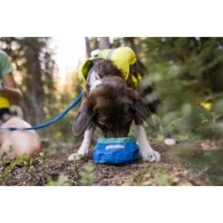 Ruffwear Trail Runner™ Napf 17 Ruffwear Trail Runner™ Napf -Hundebedarfsgeschäft 379fe16a7a50c8e71290f739965451bab58f5404 1651571 de DE cc80a2ec211d680722d58d483cd6e35959c0ef22Kohbda