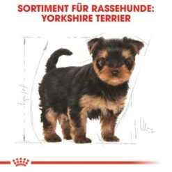 ROYAL CANIN Yorkshire Terrier Puppy 1,5 Kg 16 ROYAL CANIN Yorkshire Terrier Puppy 1,5 Kg -Hundebedarfsgeschäft 3810ae0a6a04bd78bbca7a7651da4efb954d4b3e 3e3986d33b213064868087e6e9dec0e6991e12be