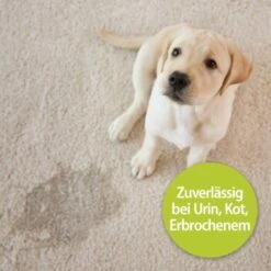 Bactador Geruchs- Und Fleckenentferner Spray 750 Ml -Hundebedarfsgeschäft 3935862fb20b58a92134b7c0768036e5b8c5302d 1291080 de DE Bactador 2