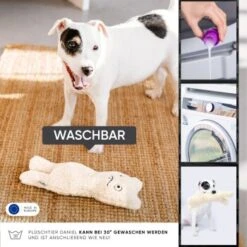 Freudentier Nachhaltiges Hundespielzeug Daniel -Hundebedarfsgeschäft 399eb762da5db839e1d54b11a980f1adc24ffa3a 1408970 de DE 4fae29de579b316485a3de702f2c6d8ee3ac7b4f8TlZcj