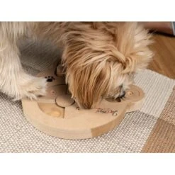 TrendPet Intelligenzspielzeug Intelli -Hundebedarfsgeschäft 3eb4d41034c0f3313929136157c4052ccd4ea926 1260161 de DE d146e7e756f1415d035fb0f48553c56a33aee61amIbGAB
