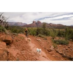 Ruffwear Swamp Cooler Zip™ Kühlweste Für Hunde Pink XL -Hundebedarfsgeschäft 3f53abbb449b533ae19bdcc983422a810c1a6523 1639652 de DE 69e04235fc73e7ad617b0a7c576e77147e0d0f9aiqnSME