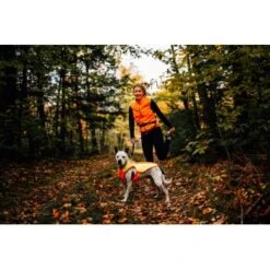 Ruffwear Lumenglow™ High-Vis Hundejacke Orange XL -Hundebedarfsgeschäft 40663366cb362acd2f222531a6c489c5dd028940 1378153 de DE 6ea16c8681e07ff1404b1bde8c0b1b4ddb6fa478XOeqLy