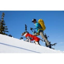 Ruffwear Furness™ Hundejacke Grau S -Hundebedarfsgeschäft 4087147dd56ca23b69da19a23095df2e3fcf8a0d 1639614 de DE 93126a293d8b745c831f949261942ce96e13bb7etLLUVR