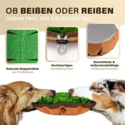 URBAN PAUL Schnüffelteppich - Grün 12 URBAN PAUL Schnüffelteppich - Grün -Hundebedarfsgeschäft 41b69e30147446053fcf1ef3a5c0ef4e586c3637 1477263 de DE f3d4dc055420076a5d6665754e59033e977ead92pVbA3s