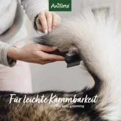 Aniforte Pflegespray Kokos Fellharmonie 200 Ml -Hundebedarfsgeschäft 439a781d2e4112eccb3d9c060e6b47df8bacbc70 1419045 de DE 0e8e4b463cb1cda232cef1a2b76d36ca72baeaa1SxHMNi