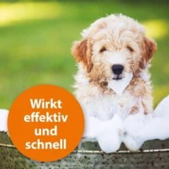 Ardap Anti Zecken Shampoo Für Hunde 250ml -Hundebedarfsgeschäft 45234aab493187b4f025c9c1611ba91401852a61 1289723 de DE 011c29b51870fd299b578444e9341eb4fefc30b304XMpl