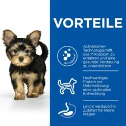Neue Veröffentlichungen -Hundebedarfsgeschäft 45250d4463e155184e5cf0aba60f25460dc5a0ba 52742053424 4