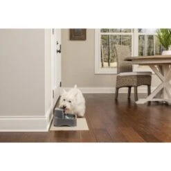 PetSafe Trinkbrunnen 1,8 L -Hundebedarfsgeschäft 484de61453224845441431d971ad092ecb02669d 1323706 3