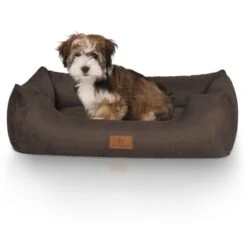 Knuffelwuff Hundebett Dreamline Aus Velours Braun M-L -Hundebedarfsgeschäft 4874a718fee5f0bdcb64f710c17c88a67ef28955 1411758 de DE dafae6b74b3af75ee424a346e8806ecd50415f171FsFRH