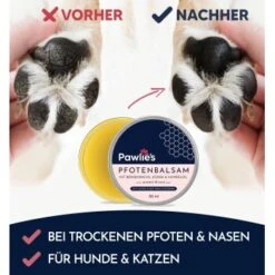Pawlie's Pawlie’s Pfotenpflege Balsam 50ml -Hundebedarfsgeschäft 487602a85241a224bd5e3b3c1fbb40f14bc6953c 1626200 de DE 882e1a5432fb66b865c7a2b3b383aa7e0f2066d82sePnZ