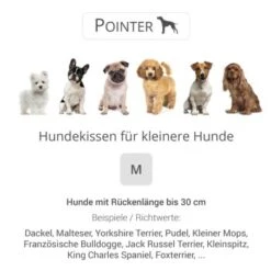 Pointer Liegekissen Urban Anthrazit M -Hundebedarfsgeschäft 502aeef21c2250758631d62fea8e14cfcce727cd d0b64f8d293f427defce0ae979b315b741ab9e51