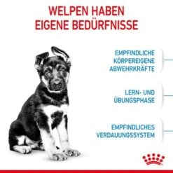 ROYAL CANIN Maxi Puppy 10x140g -Hundebedarfsgeschäft 520cede8431c2f7bd9b6dfd8e89114d545b17958 3182550402163 4