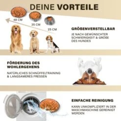 URBAN PAUL Schnüffelteppich - Grau -Hundebedarfsgeschäft 52a57a465e43989eb626f909380e9a43fc6d422f 1477265 de DE 2e0326d2412135da4b4dbf18500c90d40ebe94e0B4HI12