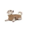 Lills Lill's Hundebademantel "Sand" 30 Cm -Hundebedarfsgeschäft 52f46aa046711d6de7280303fcb834616d411963 1488040 de DE afdddd80a29bcf00bf2e5fcfa25851139dc3a8fdeqvcK6