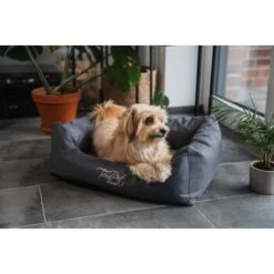 TrendPet Viscado Orthopädisches Hundebett Grau S -Hundebedarfsgeschäft 53767eb5fa18c09af83c41a099a76459282b8d5d 1223491 de DE 389224d5322521064b4406daae05b01140401710O1LkLo