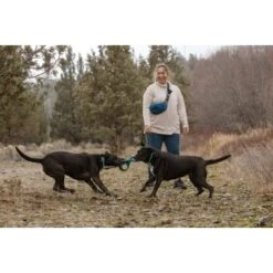 Ruffwear Pacific Ring™ Spielzeug Blau/ Türkis -Hundebedarfsgeschäft 55dba30b9a5e3fc77d29bb72e0dc6fad83c40ffc 1444351 de DE 8a3b2d989e7fae2c85eabfcfca3bb7709484f9a3jKDH9l