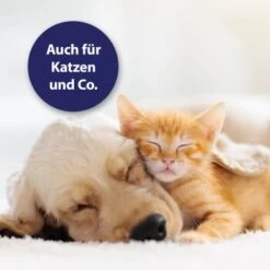 Canosept Wundgel Für Hunde 20 Ml -Hundebedarfsgeschäft 5d4c199a49c693b9c380251c996bb904b5343365 1373080 de DE 250659 Canosept Wundgel Faltschachtel Tube DE 1600px 300dpi Contentbild01 4