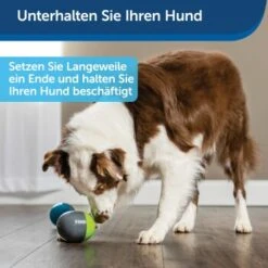 PetSafe Elektronisches Hundespielzeug Ricochet -Hundebedarfsgeschäft 5eadda9b8e1c472d17e8160a968897c5f1589a26 1418724 de DE f0080b3bce77c44349e2b70b9453ceaf44e2d3d6nqnVTG