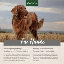 Aniforte Plus Fell & Haut 90 Tabletten -Hundebedarfsgeschäft 5fb4f1e870fde2a4e5f4b6f90e36ec6f0dd88550 1455931 de DE d0081f69574a0ff060fac7b221f563bb6f170e56pY8I6o