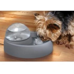 Numaxes Eyenimal Trinkbrunnen 1,5l -Hundebedarfsgeschäft 612512ae3e55fd25731acfc2a0abcdc5bfeba8fb b7754bc2b320ccef10b70045a810474d6996a8cb