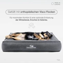 Freudentier Orthopädisches Box Hundebett Siebenschläfer M -Hundebedarfsgeschäft 61723156d2f7b54e22f71e43abc1163a7ef00ee3 1477909 de DE 93feee0eca897413bd7276c1693c404746a7a792qKZ8IZ