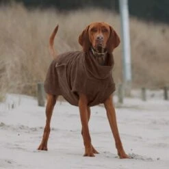 THE DOG IDEA Bademantel Every Braun XXXS 11 THE DOG IDEA Bademantel Every Braun XXXS -Hundebedarfsgeschäft 62c517832f7f923b83b0a0ee681a77b2e33cc3c3 1473036 de DE 2393ef51979dd0191b0261c826741cb7543b7b3brAaZfV