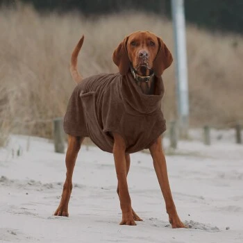 THE DOG IDEA Bademantel Every Braun XXXS 5 THE DOG IDEA Bademantel Every Braun XXXS – Bild 3