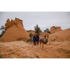 Ruffwear Overcoat Fuse™ Hundejacke Violett XXS -Hundebedarfsgeschäft 63f0f6c2ce316cb05ad8327a81fc0693c061f7c9 1639761 de DE c1f94f51e318dc9402504b3760a5b7d8c990fb78cnSRrn