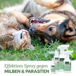 Aniforte Milben-STOP Spray Für Hunde Und Katzen 100 G -Hundebedarfsgeschäft 65c573e701babc35d0222949c6f8e5e51e98ed10 1656142 de DE a537cb98349378307bdd6f629cf67a682ee52db6lSupmg
