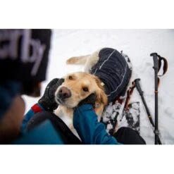 Ruffwear Cloud Chaser™ Hundejacke Schwarz XXS -Hundebedarfsgeschäft 663863851733872c9a7a7a5137c57cadf708e304 1369623 de DE 51d1c132eb566a7eb9e278708f64567d4e47a10eLvqV28