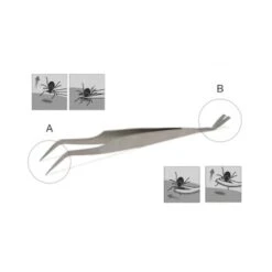 Lills Zeckenzange Aus Edelstahl 9 Lills Zeckenzange Aus Edelstahl -Hundebedarfsgeschäft 666f3a3fb181b232ac8339dfb19af759aa845978 1488086 de DE f0e508c7b7855d95e1b35fa6dabdb0d0ba4555f76ECWsn