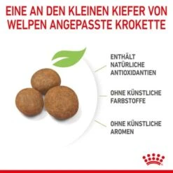 ROYAL CANIN Maxi Puppy 10x140g -Hundebedarfsgeschäft 6723f14d5672858ba8db8638c69d0eba948bb8dd 3182550402163 6