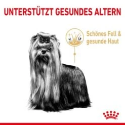 ROYAL CANIN Yorkshire Terrier 8+ Für ältere Hunde 1,5 Kg -Hundebedarfsgeschäft 6820f5d1668861335aff838ca8d75b9ceca269c3 0b00c689a5c0f3d962d4b7472621f235a6da7ba2