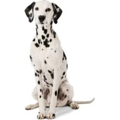 MORE Liegeplatz Cord LOOKS By Wolfgang Joop M -Hundebedarfsgeschäft 6828406bf5c097465ec912985de2b95c60385f12 1410461 3