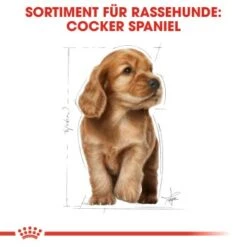 ROYAL CANIN Cocker Puppy 3kg -Hundebedarfsgeschäft 68fdcc1bd44edabf0dacf16e4d550dc22a85ee95 b436ffccd3e8e5f8e1b88dd5cd77346c954d8d0e