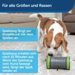 PetSafe Selbstbewegendes Belohnungsspielzeug Kibble Chase -Hundebedarfsgeschäft 6b1920cf9ffb6c6b92c0e3f50bf6b7d9033e9fd6 1418726 de DE a1feae64cba24999500088d436e08df6fdbd0a02Zb2Mjr