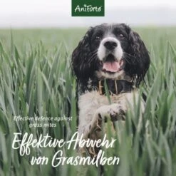 Aniforte Grasmilben-EX Spray Für Hunde 250ml -Hundebedarfsgeschäft 6e1e18b7b0a1d1f59bce3c680af6b1a3c8894f80 1655909 de DE e3905507b4127feea49671bfd5a4aadf453616663qtQ4B
