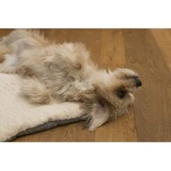 TrendPet Heaven Gefütterte Liegedecke Beige XS -Hundebedarfsgeschäft 6f0762b8ea010ef696f1e6b7b2d164775a699202 1247692 de DE 1b30b7ee4e67b9ef5127b085f041b5de3ea0fafdm2xGRF