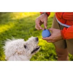 Ruffwear Turnup™ Spielzeug Violett 14 Ruffwear Turnup™ Spielzeug Violett -Hundebedarfsgeschäft 708e59a1fbc9e9a4e5a251230d3a5a466a41cd46 1639873 de DE aed329193f910634e544626b706606bf1d9a42e0yMTSe3