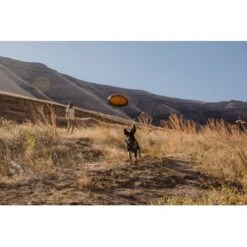 Ruffwear Hover Craft™ Spielzeug Orange -Hundebedarfsgeschäft 7111f12b44323f3d6c15a85a889225520ab85f0d 1364297 de DE 664accd36f55b32e3ca302e20a868b09c8c0d85ePbTUSI