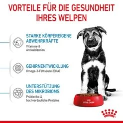 ROYAL CANIN Maxi Puppy 10x140g -Hundebedarfsgeschäft 726a99c8ae223a8a5713e5eebf41ef80f580fe60 3182550402163 5