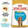 ROYAL CANIN Cocker Puppy 3kg -Hundebedarfsgeschäft 776e7939c3f5beba5f60f40636df9373ab794acd 52679ac7f9df8215bdf24ab7b3e8cc09e108cadc