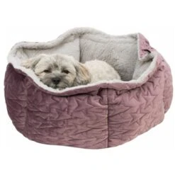Trixie Bett Estelle Samt-Optik ø 50 Cm Beere/ Grau -Hundebedarfsgeschäft 77bb4f5cd7384a9905de3a40eb3a823ce700b54b 1378629 de DE Trixie 6
