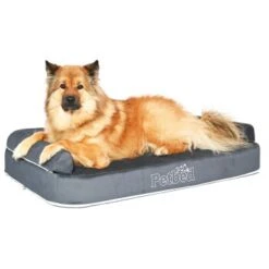 Petbed Wasserbett 120x70cm Anthrazit -Hundebedarfsgeschäft 781bc1dfa6d473c64738de4d42fe751dc21256c6 1500826 de DE 7aa6c8bf7ba16679c880890227004a41772a280aiK6UaE