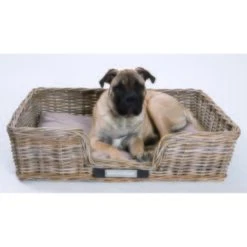 Hundebedarfsgeschäft -Hundebedarfsgeschäft 784ded544d544c6c7991912329940a0821bbb9bb 43a3fc843ee33bacc6e143a79a9183844dbea183